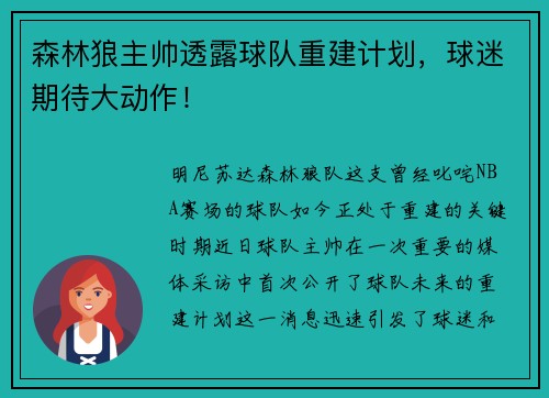 森林狼主帅透露球队重建计划，球迷期待大动作！
