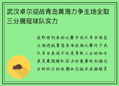 武汉卓尔迎战青岛黄海力争主场全取三分展现球队实力